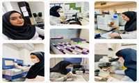 ارتقای چشمگیر خدمات آزمایشگاهی و تشخیصی در بیمارستان