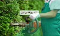 فراخوان مناقصه نگهداری فضای سبز بیمارستان امام خمینی فیروزکوه