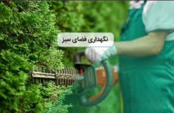 فراخوان مناقصه نگهداری فضای سبز بیمارستان امام خمینی فیروزکوه